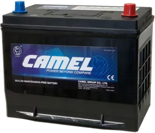 CAMEL BATTERY  12v 70Ah / 620A ( - / + )